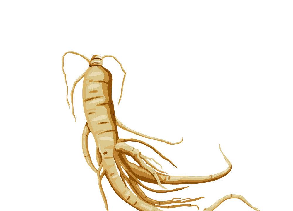 (Illustration by The Epoch Times, Shutterstock)