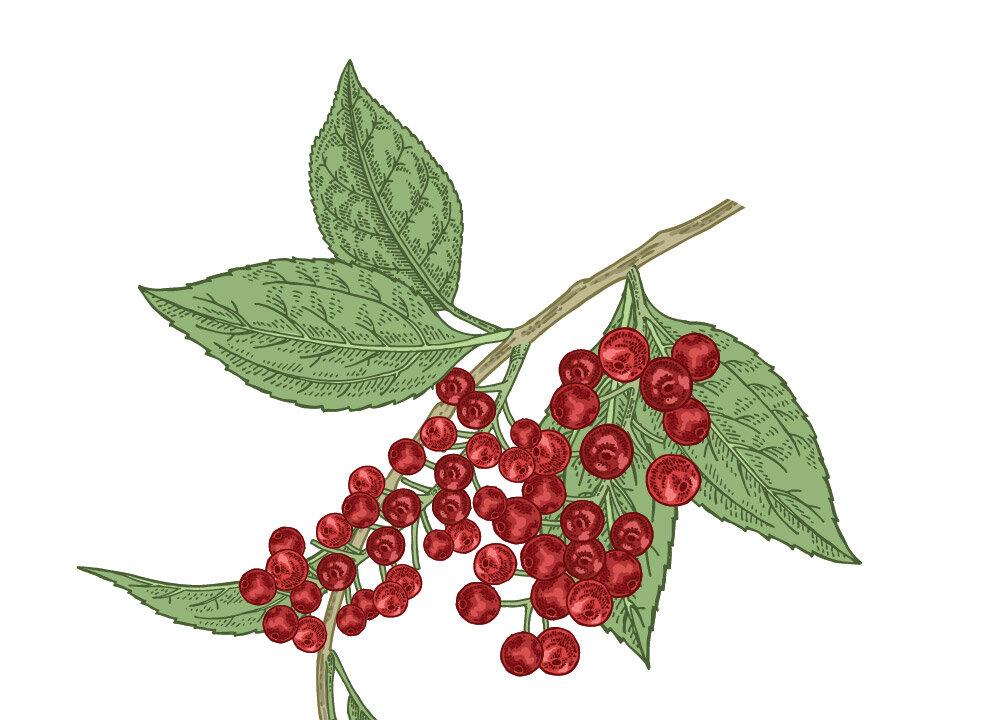 (Illustration by The Epoch Times, Shutterstock)