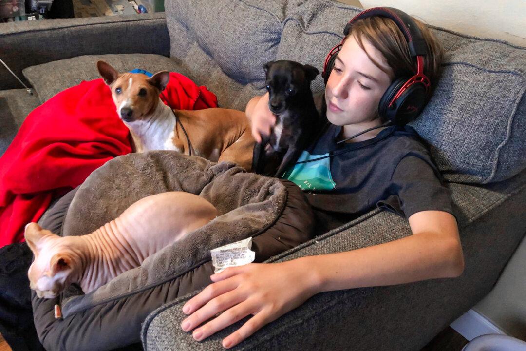 Alexander Neville, 14, reclines with family pets in an undated photo. Alexander died of fentanyl poisoning in June 2020 at the age of 14. (Courtesy of Amy Neville)