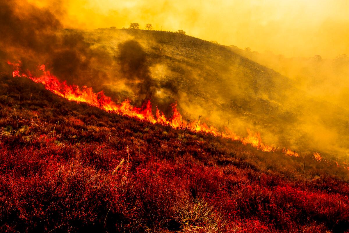 Gifford Fire burns 30,000 acres in Los Padres National Forest on Aug. 2, 2025. (Benjamin Hanson/Middle East Images/AFP via Getty Images)