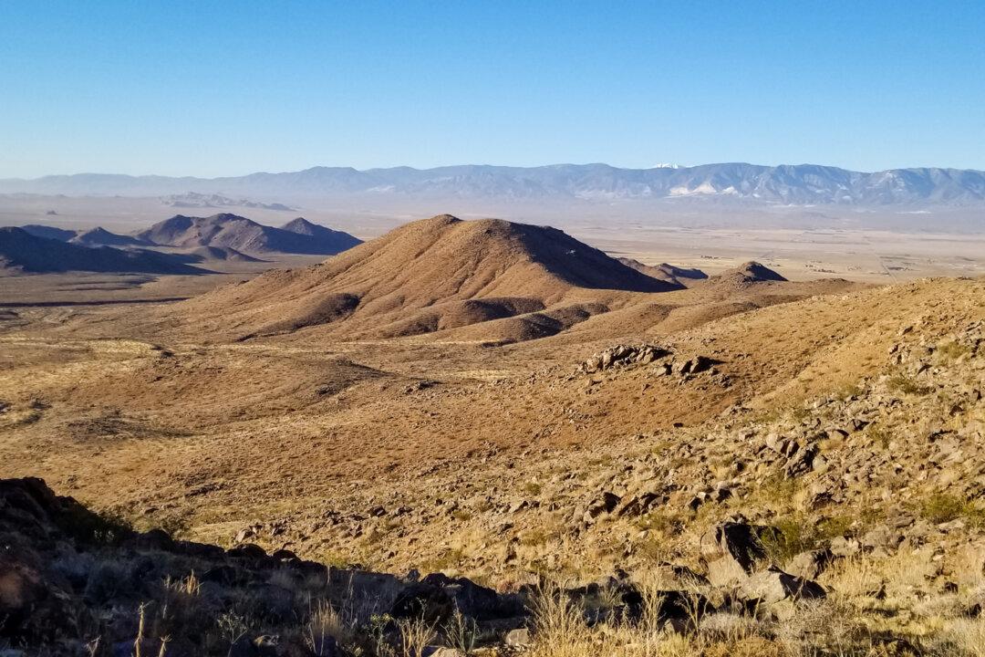 A large critical mineral deposit has been rediscovered on a stretch of land in San Bernardino County, Calif. (Courtesy of Sundown Resources)