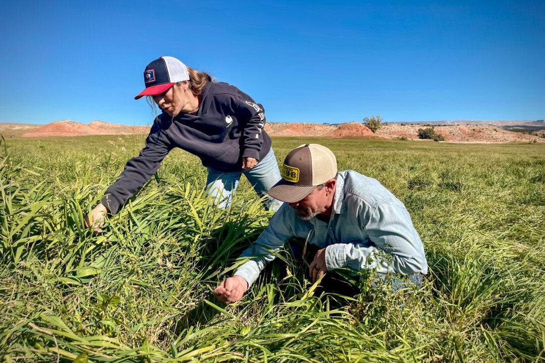 R.C. and Annia Carter on their cattle ranch near Ten Sleep, Wyo., on Oct. 9, 2025. The Carters founded a nonprofit that certifies regenerative ranching using third-party tests of soil organic matter, carbon-sequestration practices, vitamin and fatty-acid levels, and heavy metals and other contaminants. (Beige Luciano Adams / The Epoch Times)