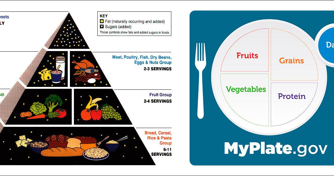 (Left) The USDA's original food pyramid, from 1992 to 2005. (Right) MyPlate guidelines launched in 2011. (Public Domain, MyPlate)