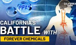 What Are Forever Chemicals and What Is California Doing About Them?