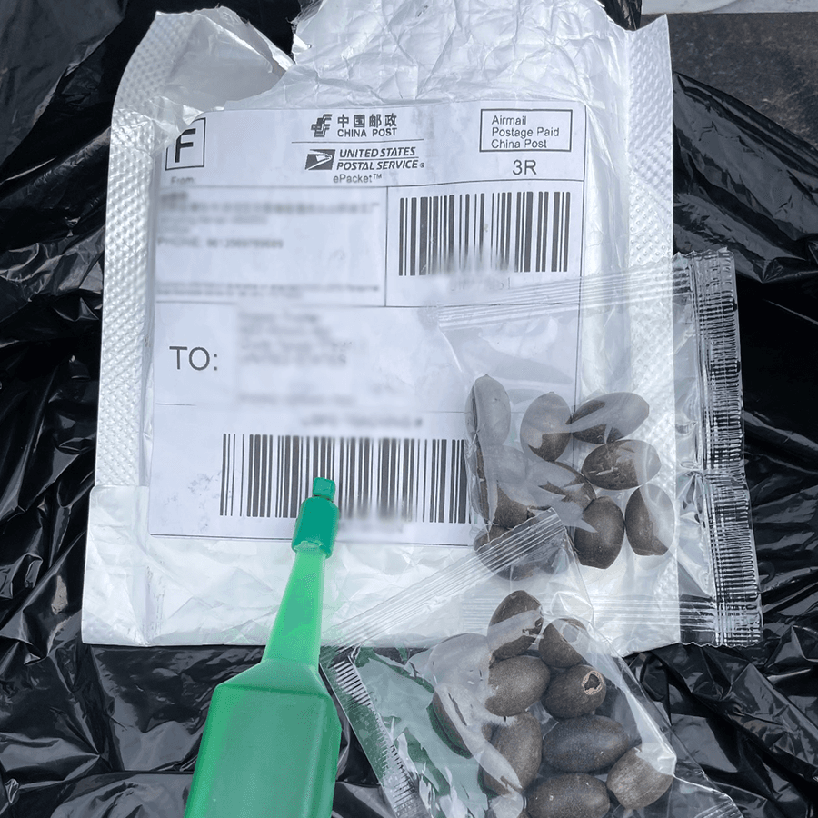 An unsolicited package of seeds with a label of China Post, the Chinese regime’s official postal delivery service. (Texas Department of Agriculture)