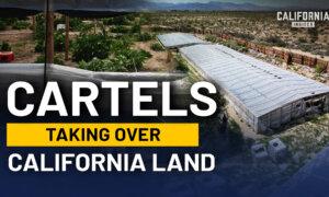 upnext-video-thumbnail