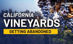 Why California’s Wine Industry Is Under Strain Right Now
