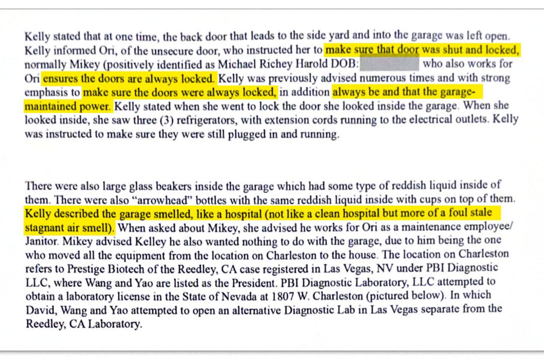 (Screenshot via The Epoch Times, Las Vegas Justice Court)