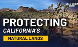 California’s Land, Water, and Fire: What’s Really Driving the Decisions