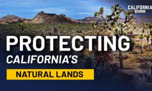 upnext-video-thumbnail