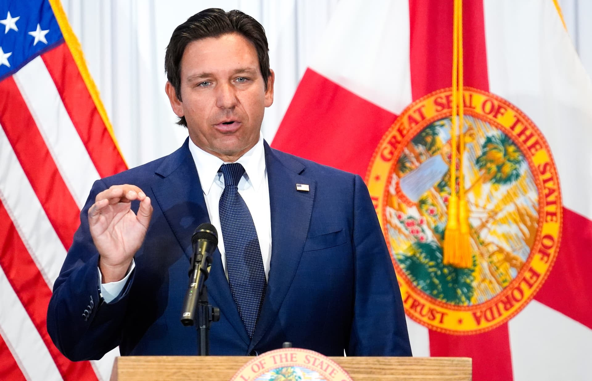 Florida Gov. Ron DeSantis during a news conference in Tampa, Fla., on Aug. 12, 2025. (Chris O'Meara/AP Photo)