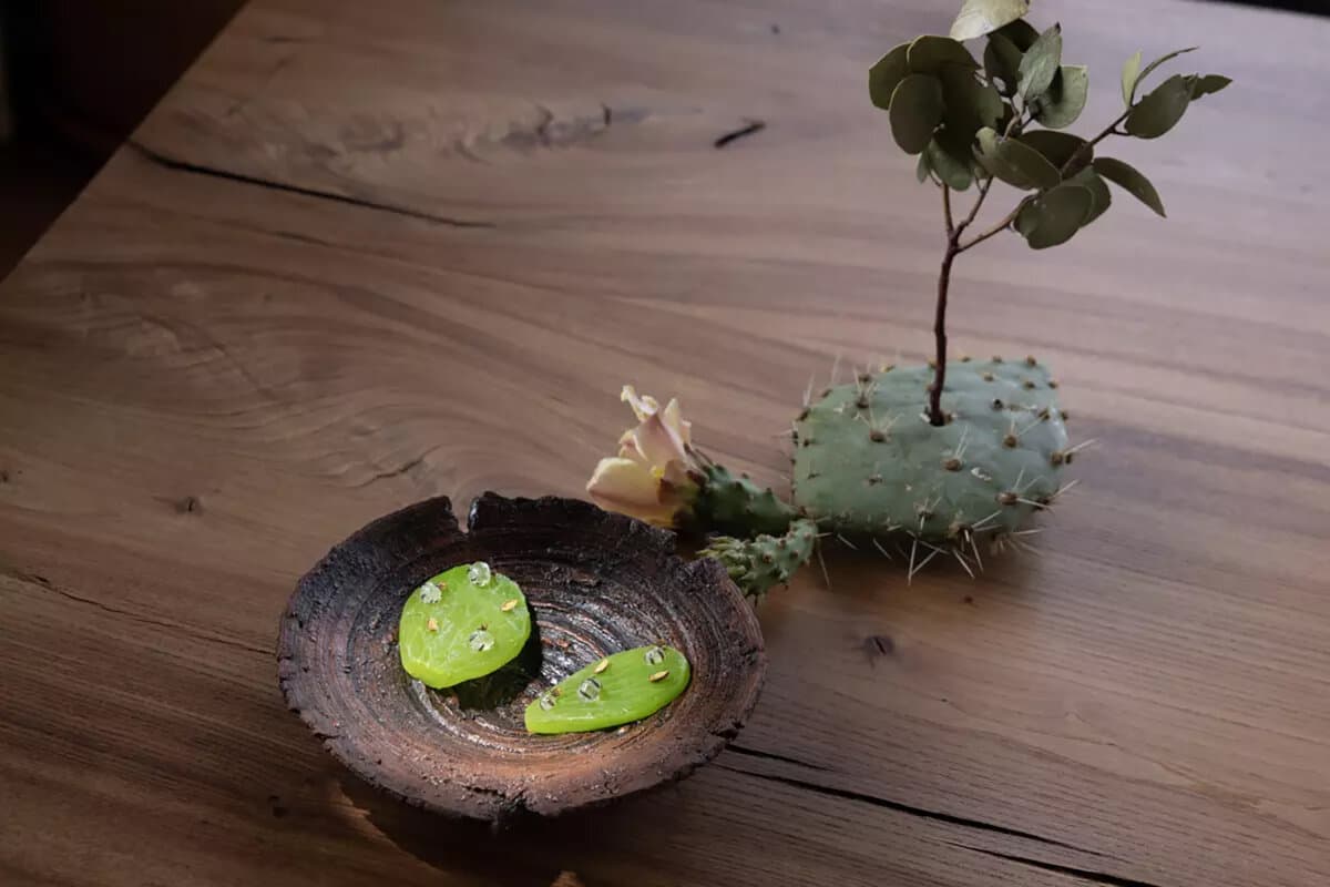 Cactus pickle with honeypot ants. (Myung J. Chun/Los Angeles Times/TNS)