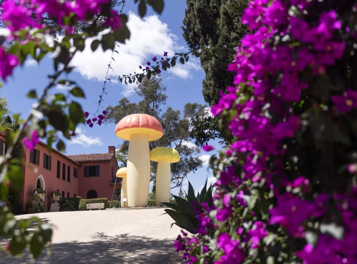 Inflatable mushrooms pop in the motor court at Noma LA. (Myung J. Chun/Los Angeles Times/TNS)