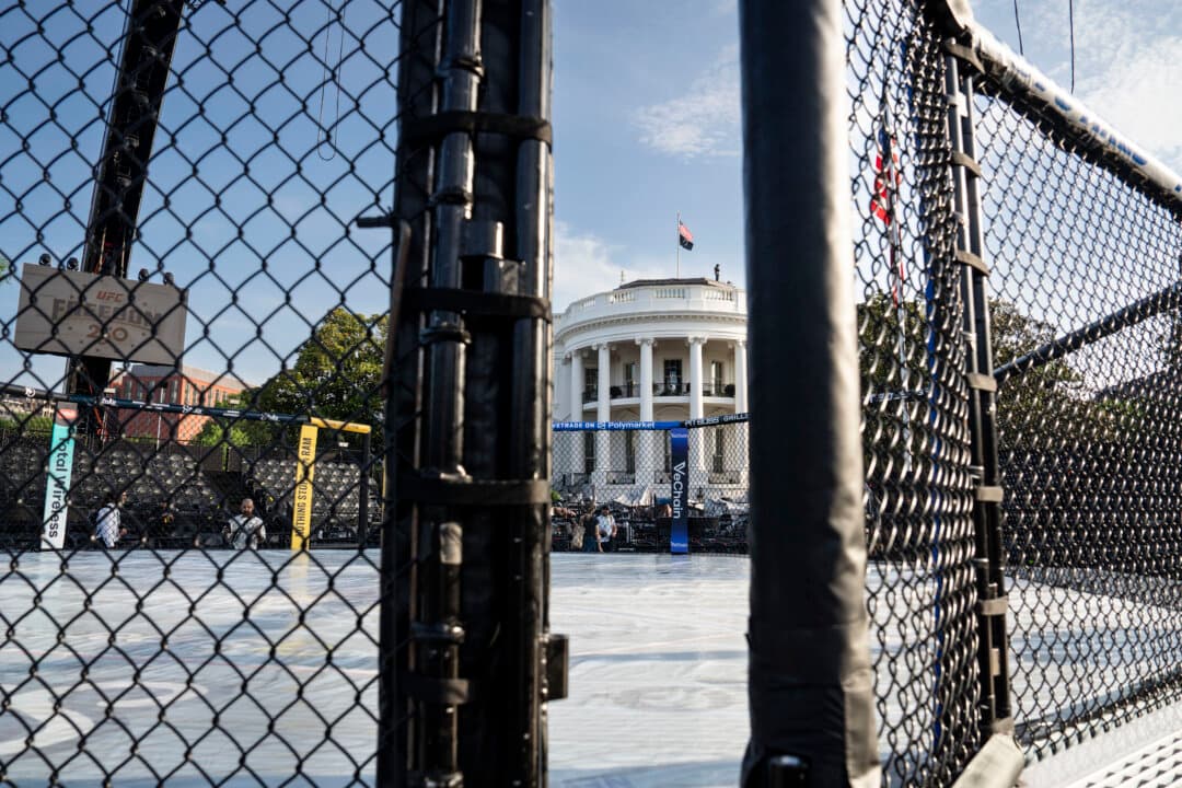 UFC cage at the White House on June 11, 2026. (Madalina Kilroy/The Epoch Times)