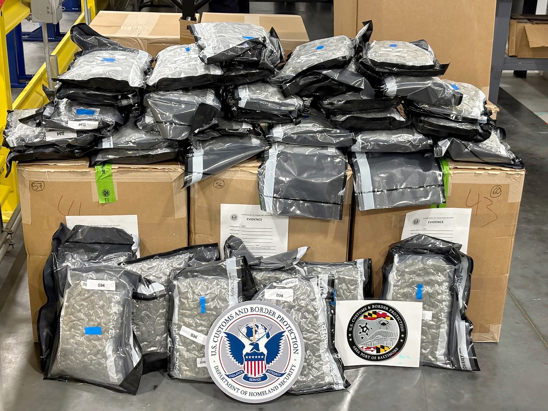 Some of the marijuana that was bound for Liverpool, England. In Europe, high-quality marijuana can generate profits two to three times higher than in the United States. (U.S. Customs and Border Protection)