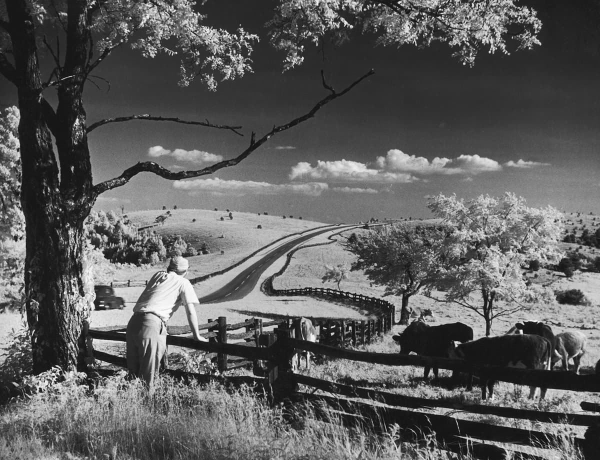A man takes in the view of the Blue Ridge Parkway in Doughton Park, North Carolina, circa 1930. (FPG/Hulton Archive/Getty Images)