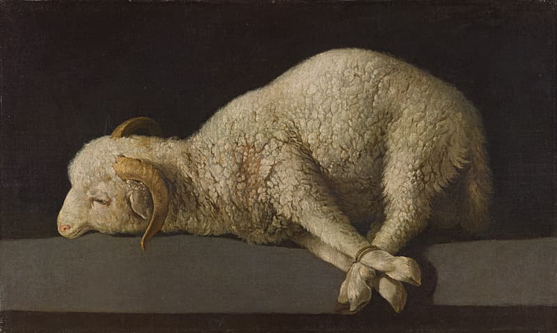 “Agnus Dei,” 1635–1640, by Francisco de Zurbarán. Oil on canvas; 1 foot 2 5/8 inches by 2 foot 3/8 inches. Museo Nacional del Prado, Madrid. (Copyright Photographic Archive Museo Nacional del Prado)