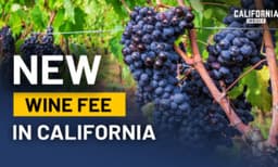 This California Winemaker Says Mandatory Membership Fees Could Reach Any Industry | Kate Griffith