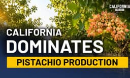 A Farming Takeover Happened in California. Most Residents Never Noticed | Tom Coleman