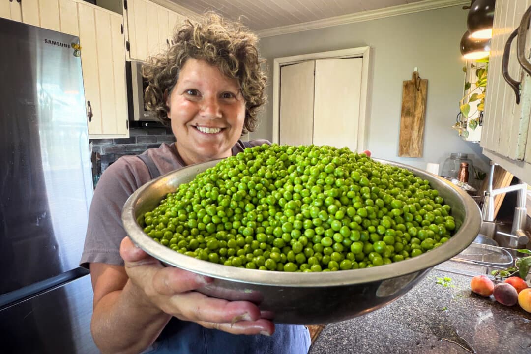 Ruth Ann Zimmerman showcases peas she harvested from the homestead she operates with her husband, Elvin, in northeast Iowa on in June, 2026. Zimmerman is the author of “The Heart of the Homestead: Cultivating a Spirit of Simple Living Through Homemaking, Recipes, and Family.” (Courtesy of Ruth Ann Zimmerman)