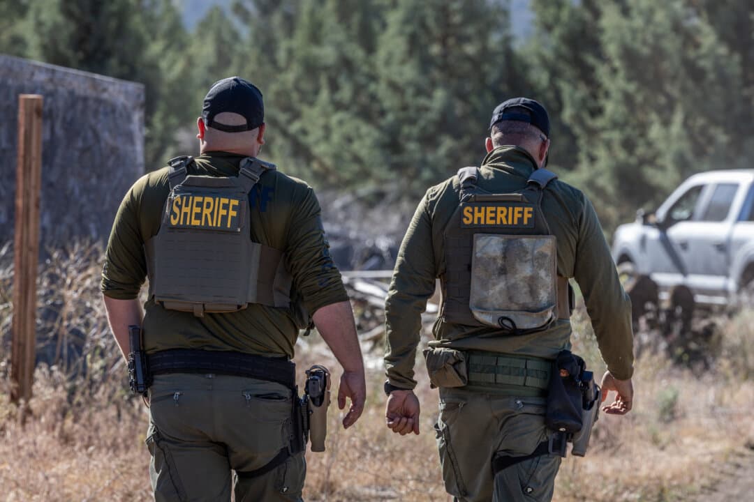 Deputies with the Siskiyou County Sheriffs Department participate in an operation against illegal marijuana farms growing outside Montague, Calif., on June 4, 2026. (John Fredricks/The Epoch Times)