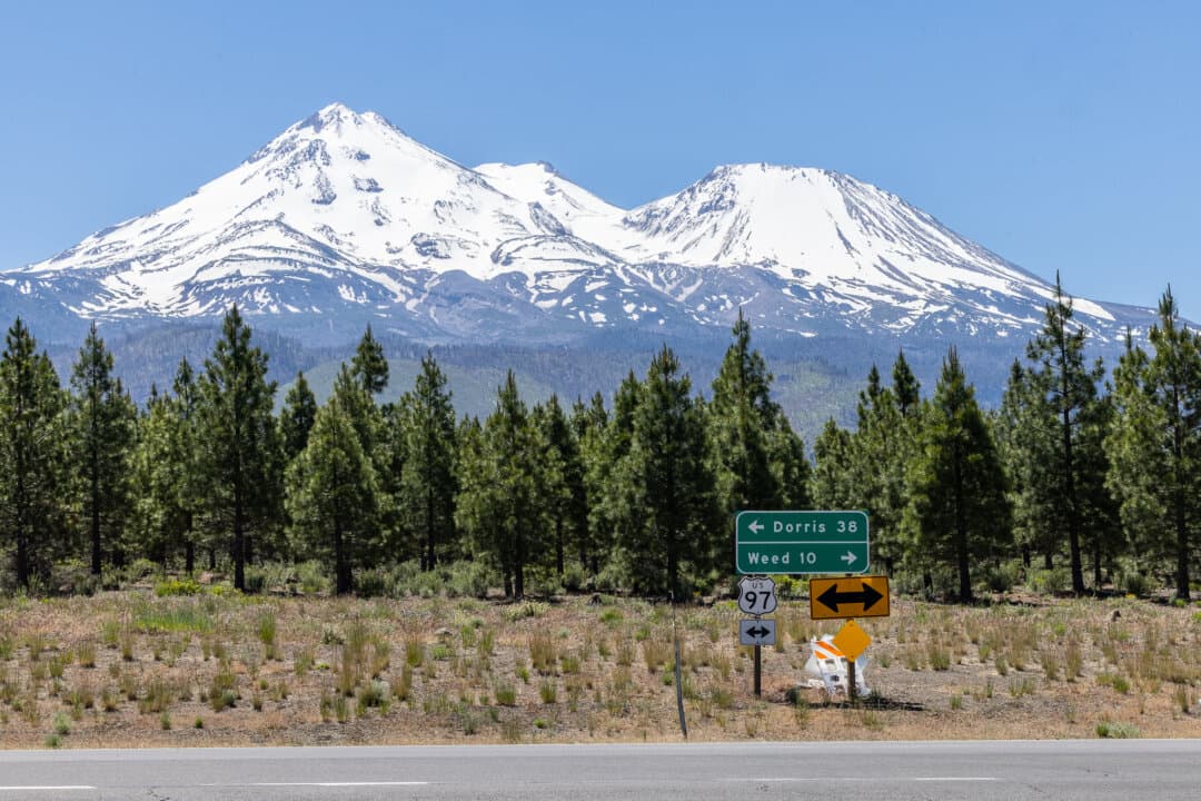 Signs directing traffic to the city of Weed, Calif. are seen near illegal marijuana grow sites outside of Montague, Calif., on June 4, 2026. (John Fredricks/The Epoch Times)