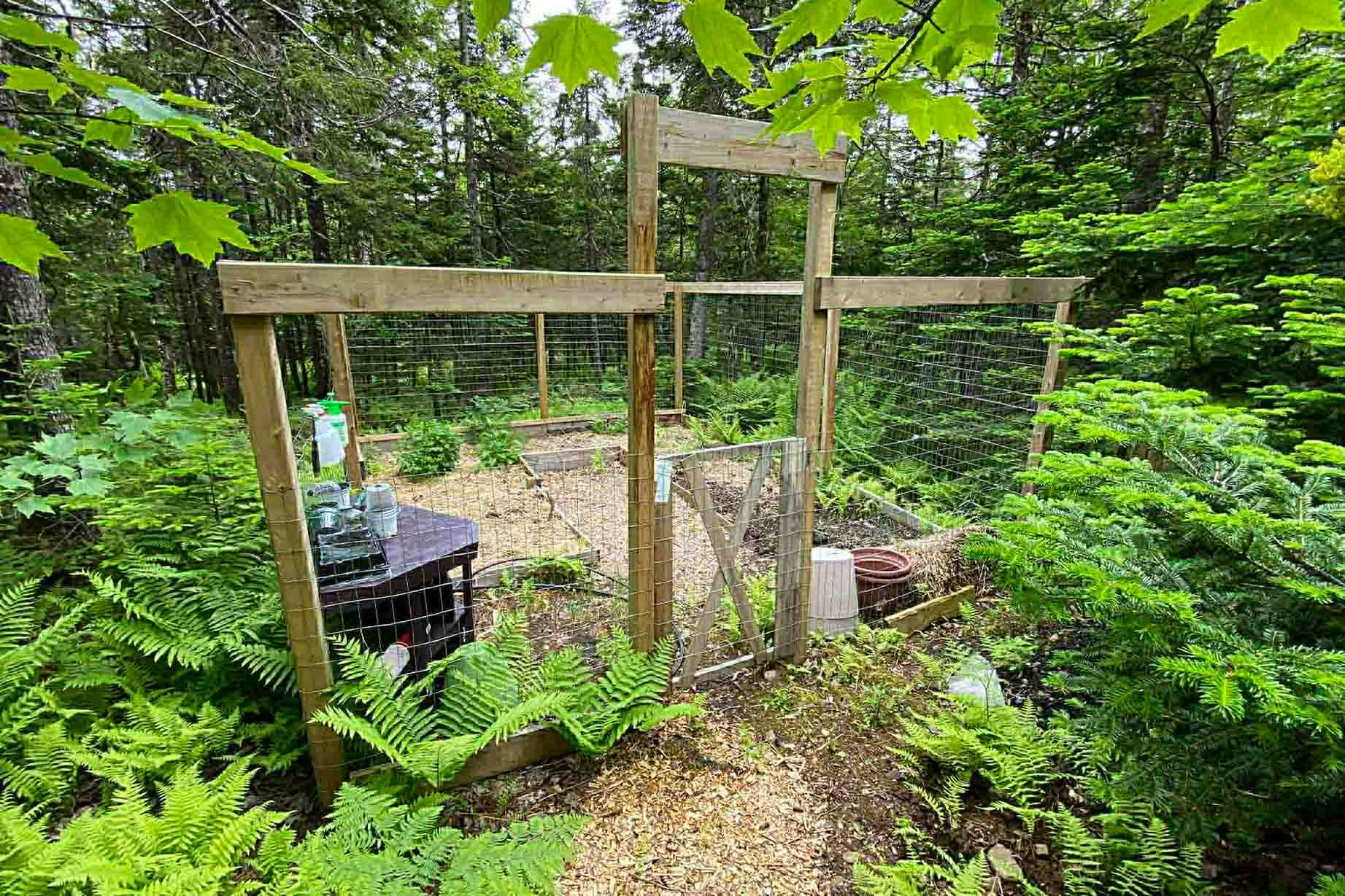The homestead garden. (Courtesy of Cameron Ringland)