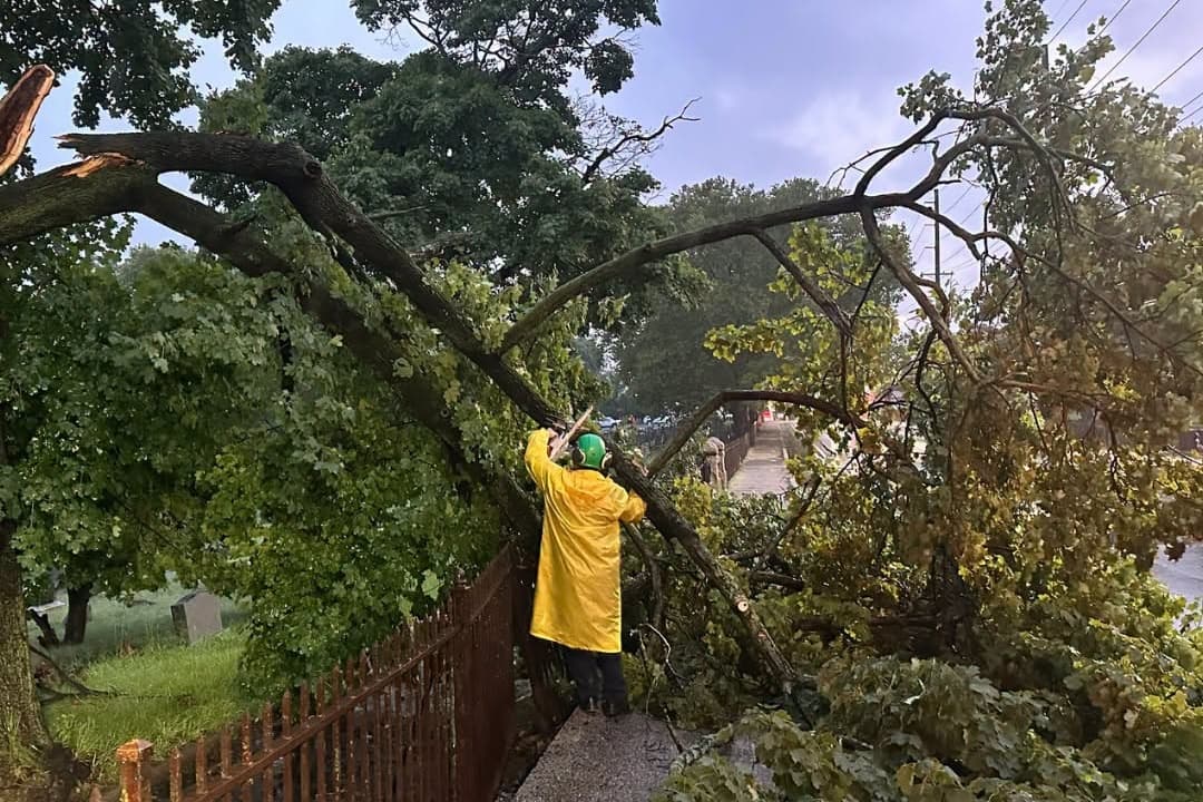 A damaged tree in Jersey City, N.J, after storms tore through the area on Aug. 20, 2026. (City of Jersey City via AP)