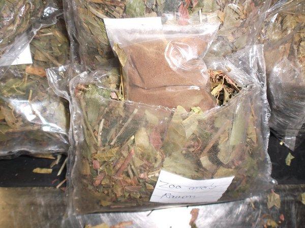 (U.S. Customs and Border Protection)