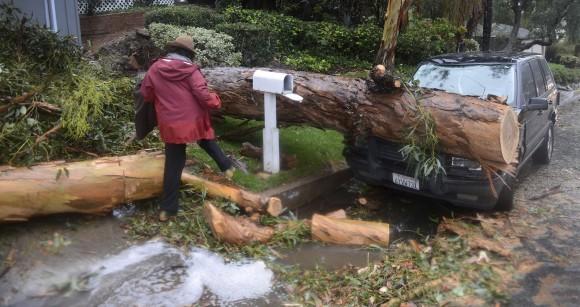 Lori Kahn steps over a branch of a tree that fell on her family's Range Rover Friday, Feb. 17, 2017, in Laguna Beach, Calif. Kahn said that no one was injured in the incident. As a Laguna Beach city trolly drove by Kahn said "Well, I guess we'e a tourist attraction now." (Photo by Bill Alkofer/The Orange County Register via AP)