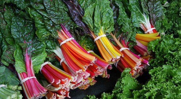 Swiss Chard Rainbow (Alex/FlickrCC BY 2.0)