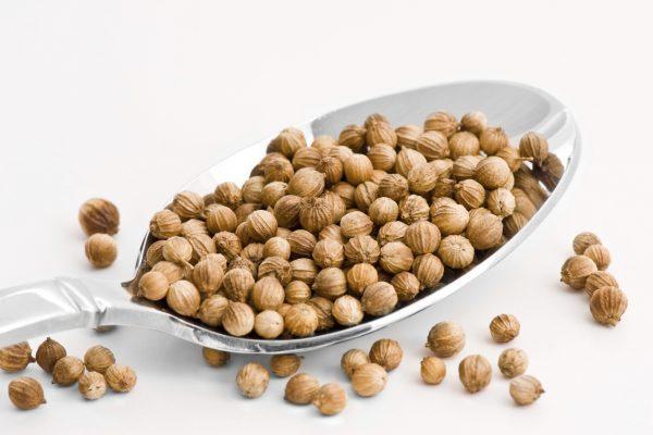 Dry coriander seeds. (katrindell/iStock)