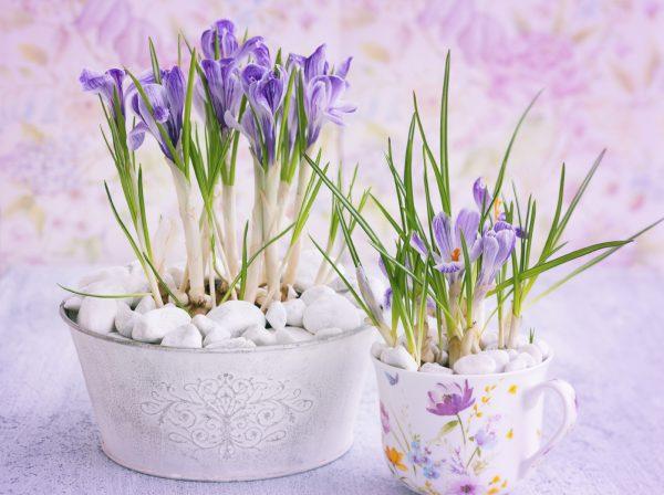 Steep the threads in hot water or broth for 5 to 20 minutes. This releases the saffron's essence and aroma. (Sarsmis/iStock)