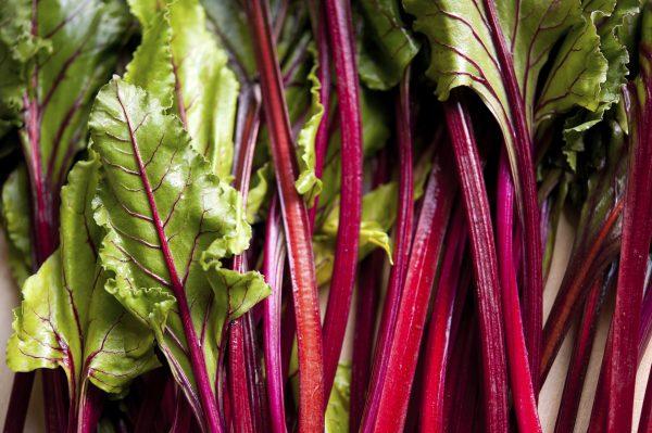 Beet greens. (Emily Churchill/iStock Photo)
