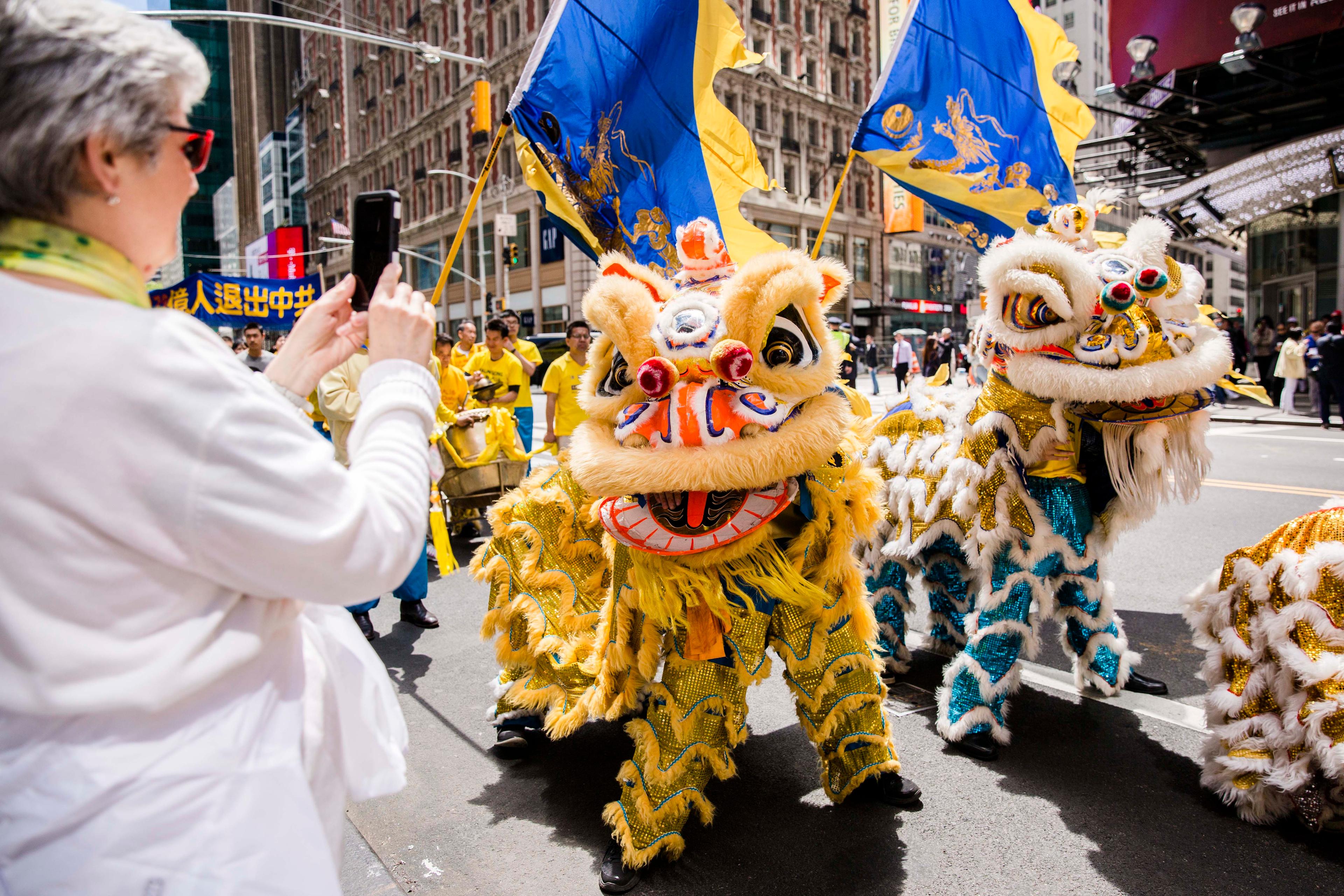 A Falun Gong lion dance team performs in the World Falun Dafa Day parade in New York on May 12, 2017. The lions used are the He Shan or Hoksan style with the flat upper mouth and the "cuter" appearance. This style is commonly used in high-level competitions and has incorporated acrobatic movements. (Samira Bouaou/The Epoch Times)