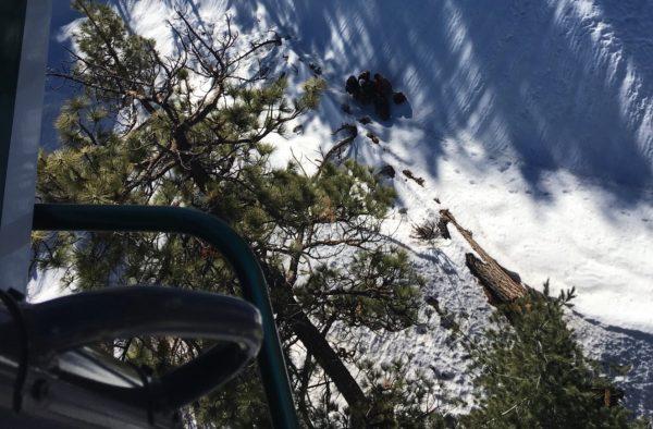 A view from the Los Angeles Sheriff's Department helicopter onto the snow-covered mountain region where campers and their dogs were rescued on Jan. 23, 2019. (@SEBLASD/Twitter)