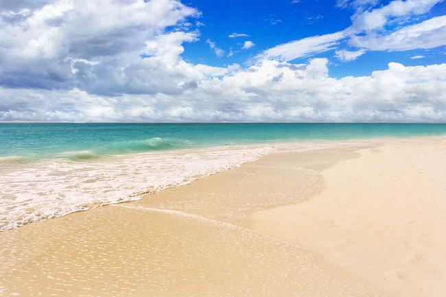 Illustration - Shutterstock | <a href="https://www.shutterstock.com/image-photo/tropical-beach-caribbean-sea-cayo-largo-407343652">Dmitry Polonskiy</a>