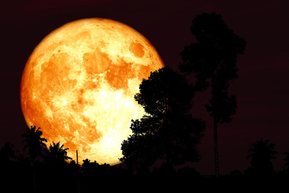 Illustration - Shutterstock | <a href="https://www.shutterstock.com/image-photo/red-sturgeon-moon-on-night-sky-1475635070">Darkfoxelixir </a>