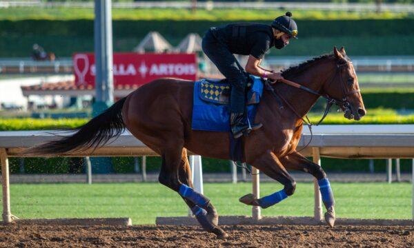 The horse Maximum Security races at Santa Anita Park in Arcadia, Calif. (Courtesy of Zoe Metz/Santa Anita Park)