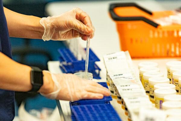 An EqualTox lab worker processes COVID-19 tests in Tustin, Calif., on Sept. 3, 2020. (John Fredricks/The Epoch Times)