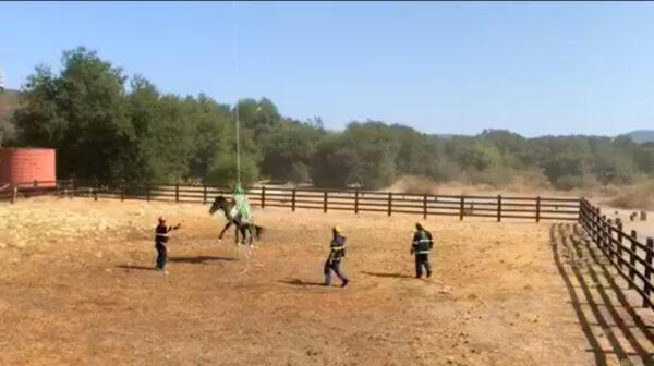 A horse is lowered into a corral by the Orange County Fire Authority after being rescued by helicopter airlift in Rancho Mission Viejo, Calif., on Sept. 21, 2020. (Screenshot/Video Courtesy of the Orange County Fire Authority)
