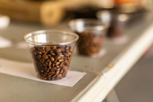 Sample cups of roasted coffee beans line a table in Trabuco Canyon, Calif., on Feb. 5, 2021. (John Fredricks/The Epoch Times)