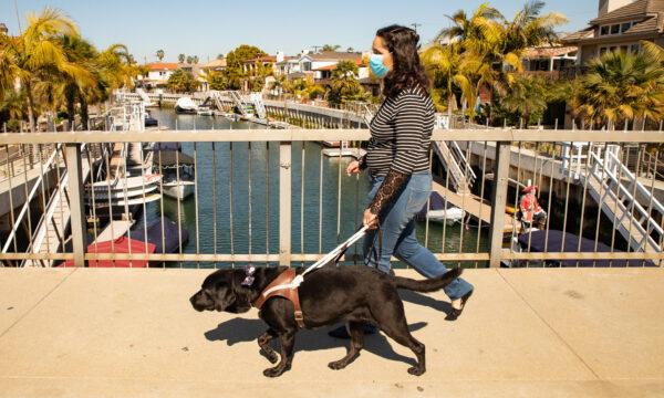 A woman and her service dog, Calypso, walk in Long Beach, Calif., on Feb. 24, 2021. (John Fredricks/The Epoch Times)