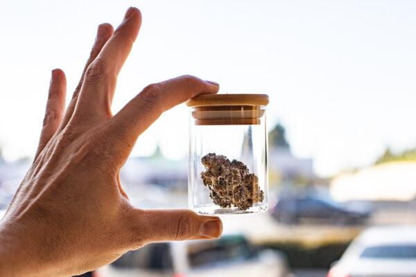 A local company offers cannabis samples in Santa Ana, Calif., on Feb. 18, 2021. (John Fredricks/The Epoch Times)