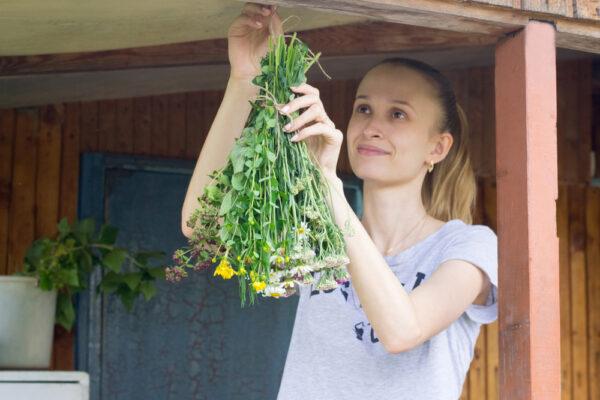 Hanging chamomile upside down in a well ventilated area will dry the herb in one to two weeks. (Shutterstock)