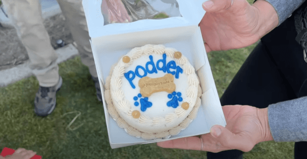 Podder the agricultural detector dog is retired from San Diego County's Agriculture, Weights and Measures Department on March 23, 2022. (Screenshot via YouTube/countysandiego)