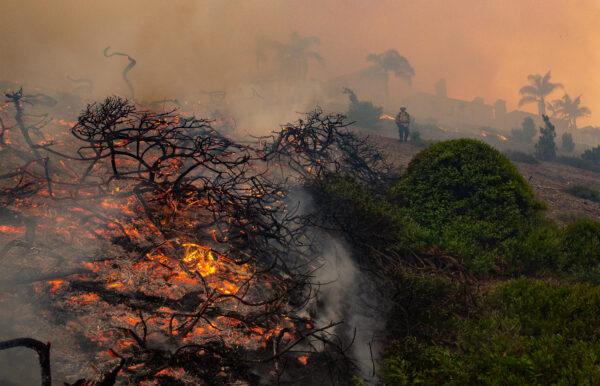 Firefighters work on extinguishing the Coastal Fire in Laguna Niguel, Calif., on May 11, 2022. (John Fredricks/The Epoch Times)