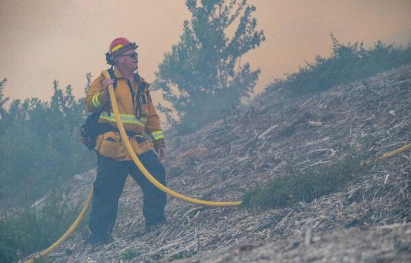 Firefighters work on extinguishing the Coastal Fire in Laguna Niguel, Calif., on May 11, 2022. (John Fredricks/The Epoch Times)