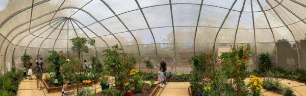 The Flight butterfly exhibit at the Santa Ana Zoo in Santa Ana, Calif., on July 21, 2022. (John Fredricks/The Epoch Times)