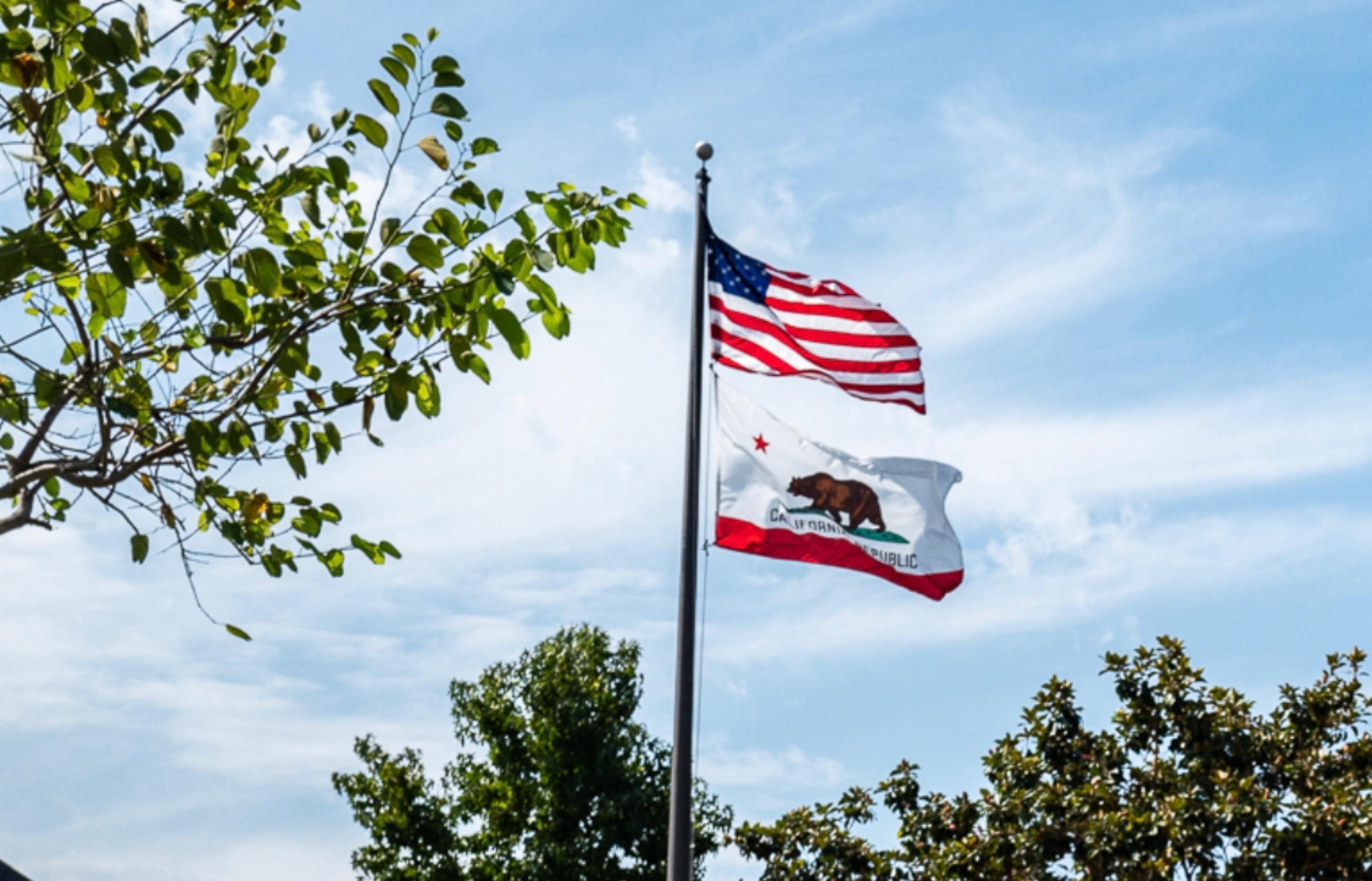 Irvine Unified Considers Policy Banning Non-Government Flags on Campus